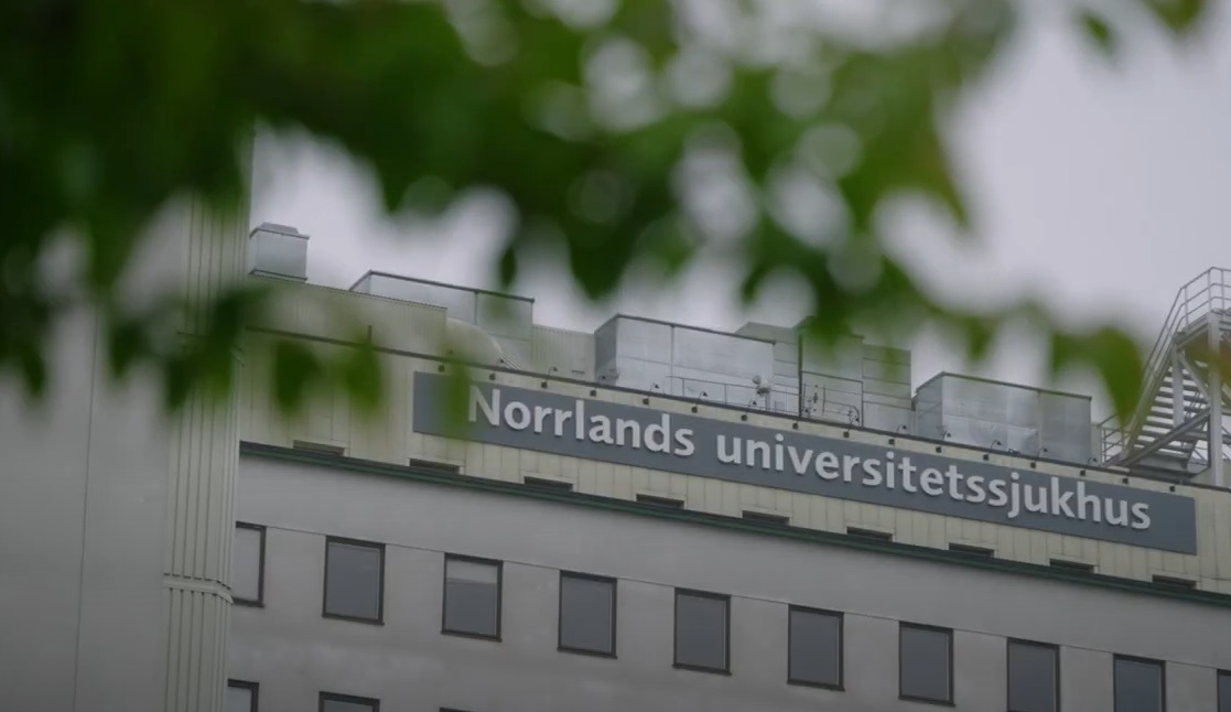Norrlands universitetssjukhus skymtar bakom en tr&auml;dgren.